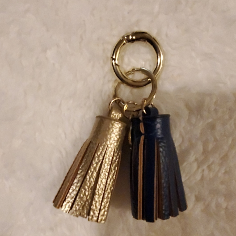 Bag accessory